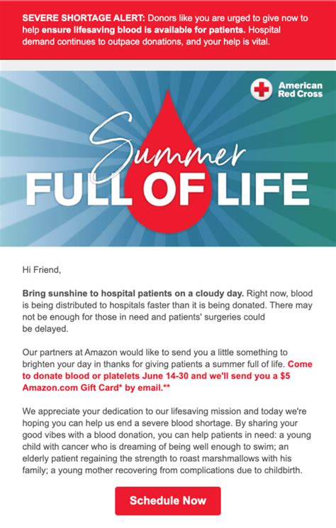 fundraising newsletter examples